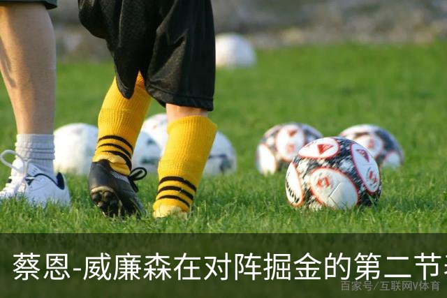蔡恩-威廉森在对阵掘金的第二节表现分析